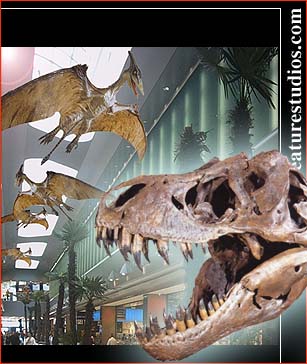 Mostra Dinosauri